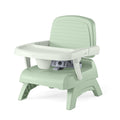 3-in-1 Portable Booster Seat W520