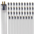 24 Inch 24W 3500K T5 Fluorescent Bulb Pack of 40 Y19086