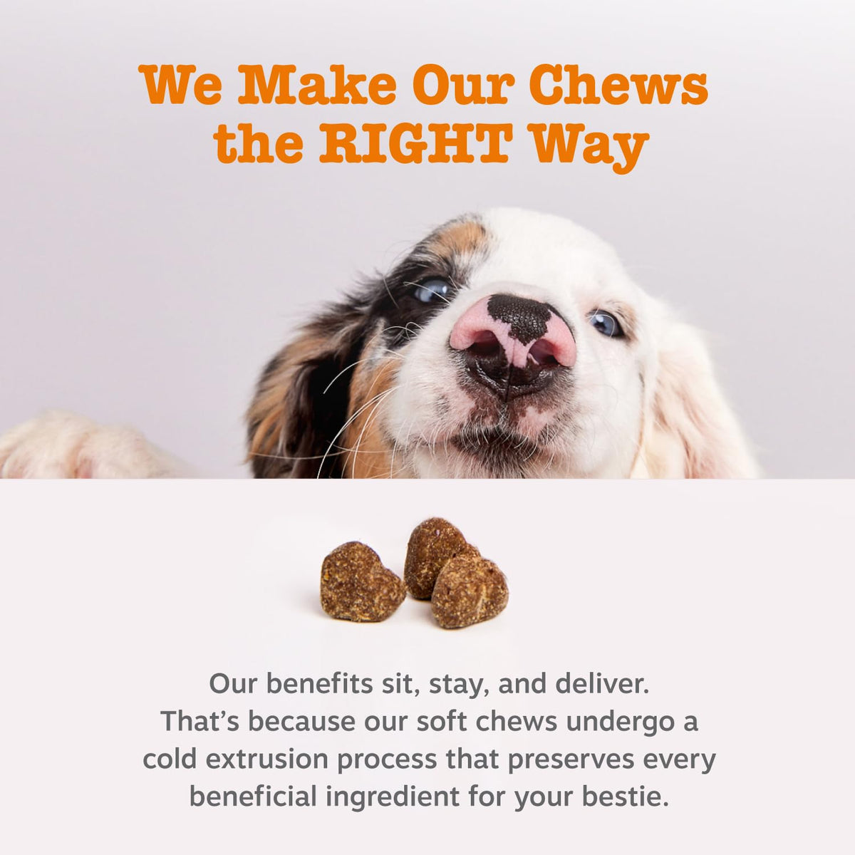 90 Count Dog Weight Management Supplement X183