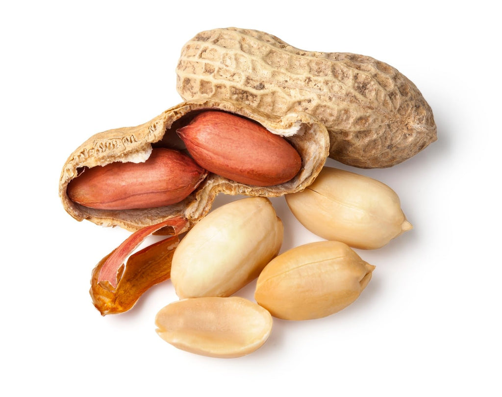 Whole in Shell Raw Peanuts 2.5 Pounds K9454