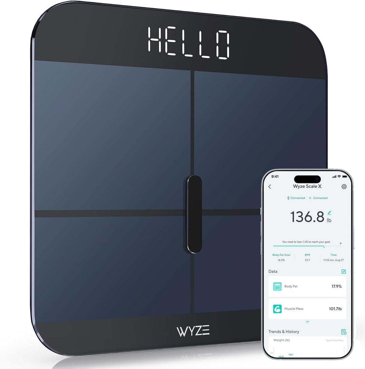 Smart Scale T674102