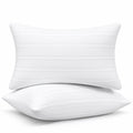 King Size Down Alternative Pillows Set of 2 D503