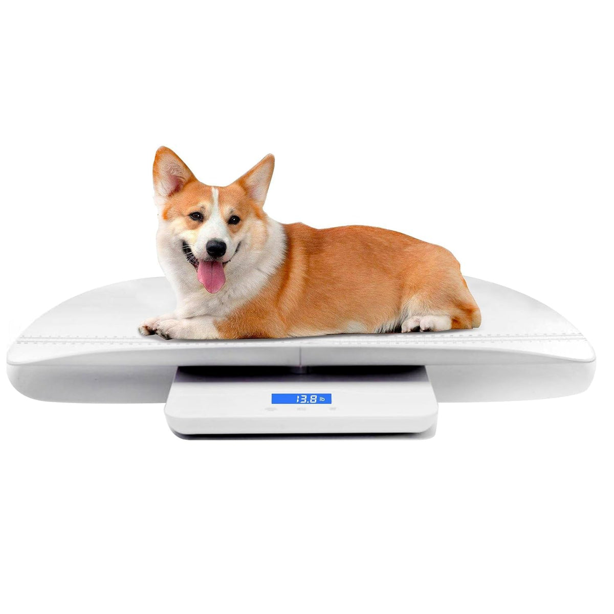 Digital Pet Scale with 3 Weighing Modes, Max 220 lbs, White M70124