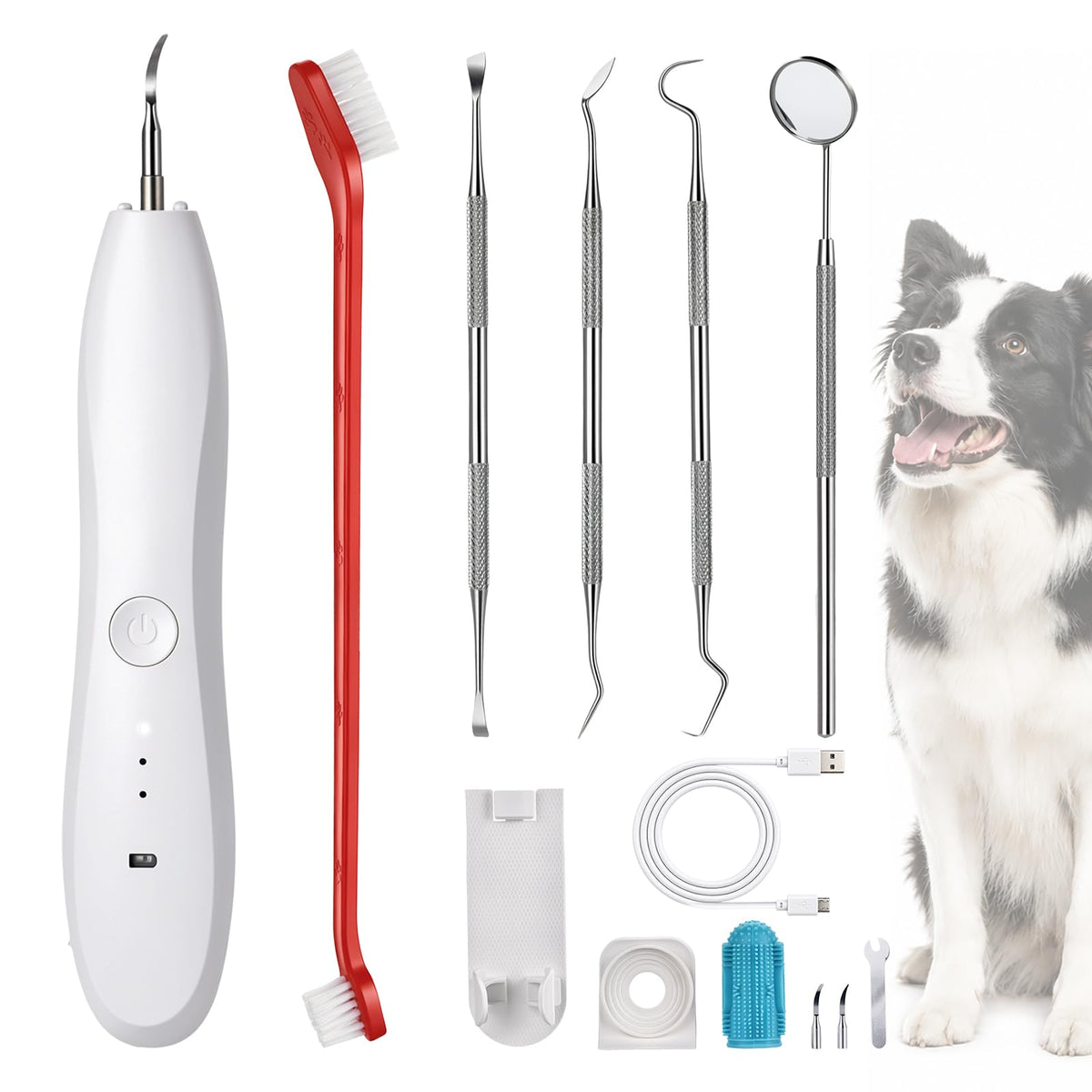 Dog Tartar Ultrasonic Teeth Cleaning Kit Q83135