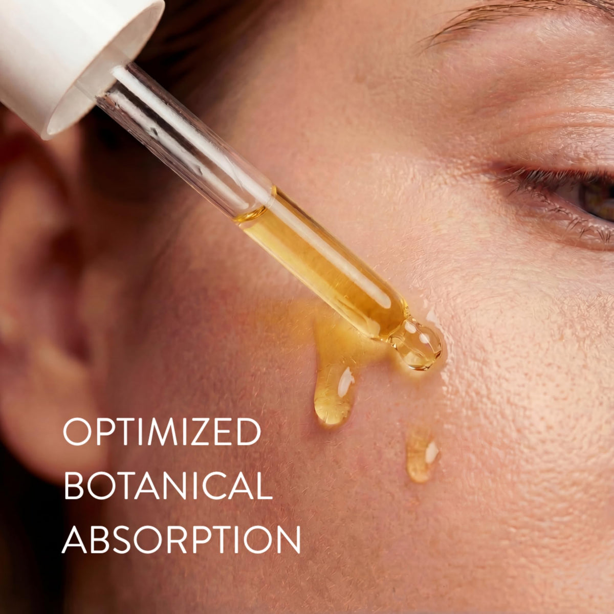 Beauty Oil Collection B50978