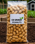 Whole in Shell Raw Peanuts 2.5 Pounds K9454