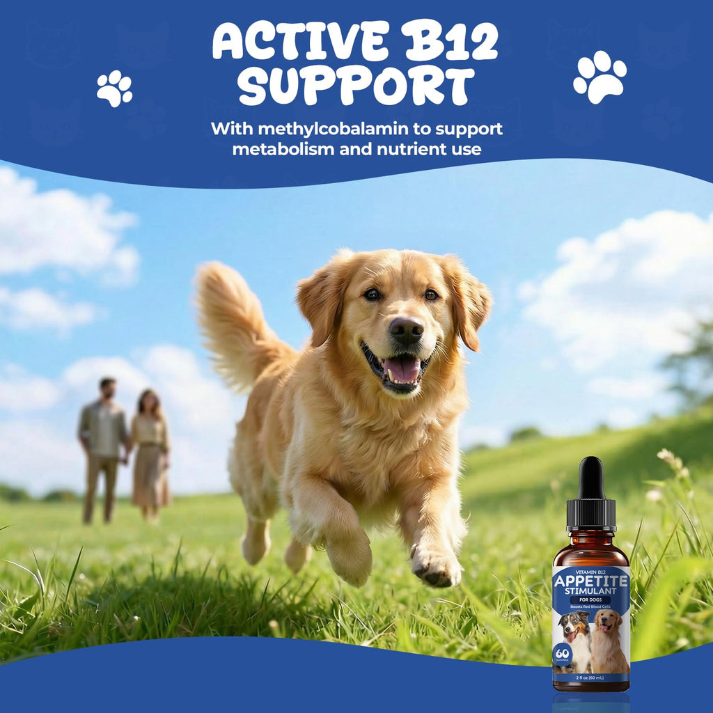 Vitamin B12 Liquid Drops with Methylcobalamin N2492