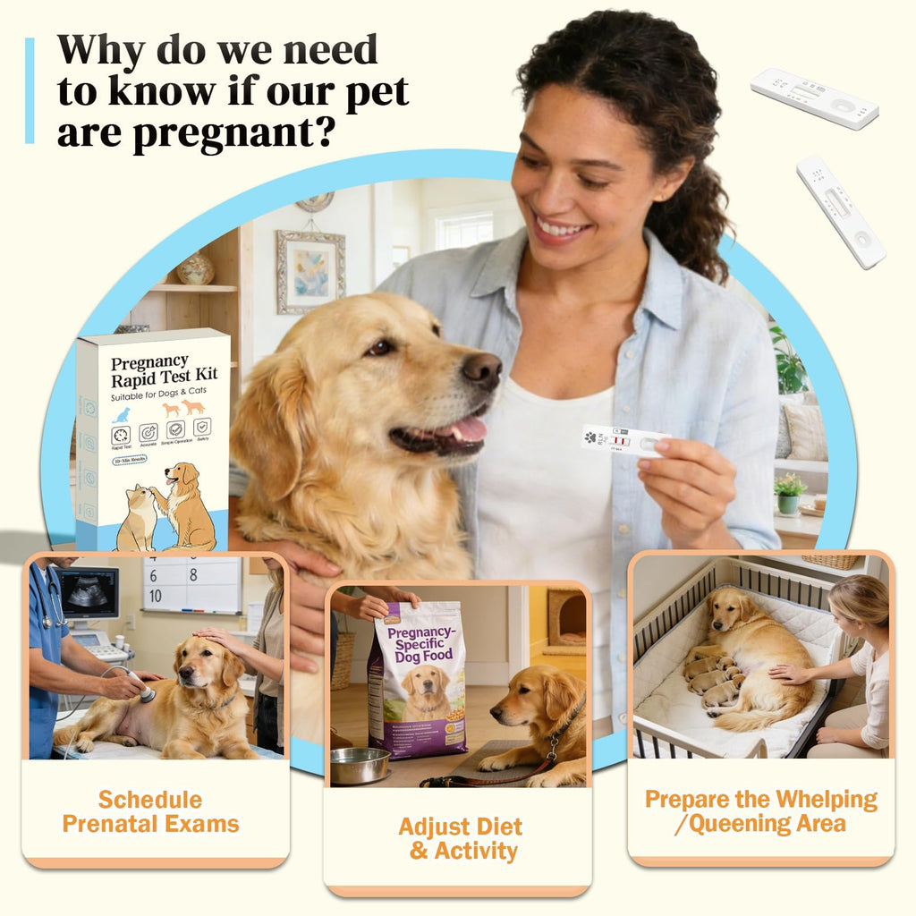 2-Pack Dog & Cat Pregnancy Test Kit X670393