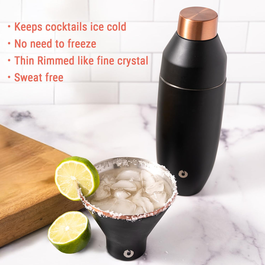 Vacuum Insulated Stainless Steel Martini Glass Set of 2, 8 oz K64712