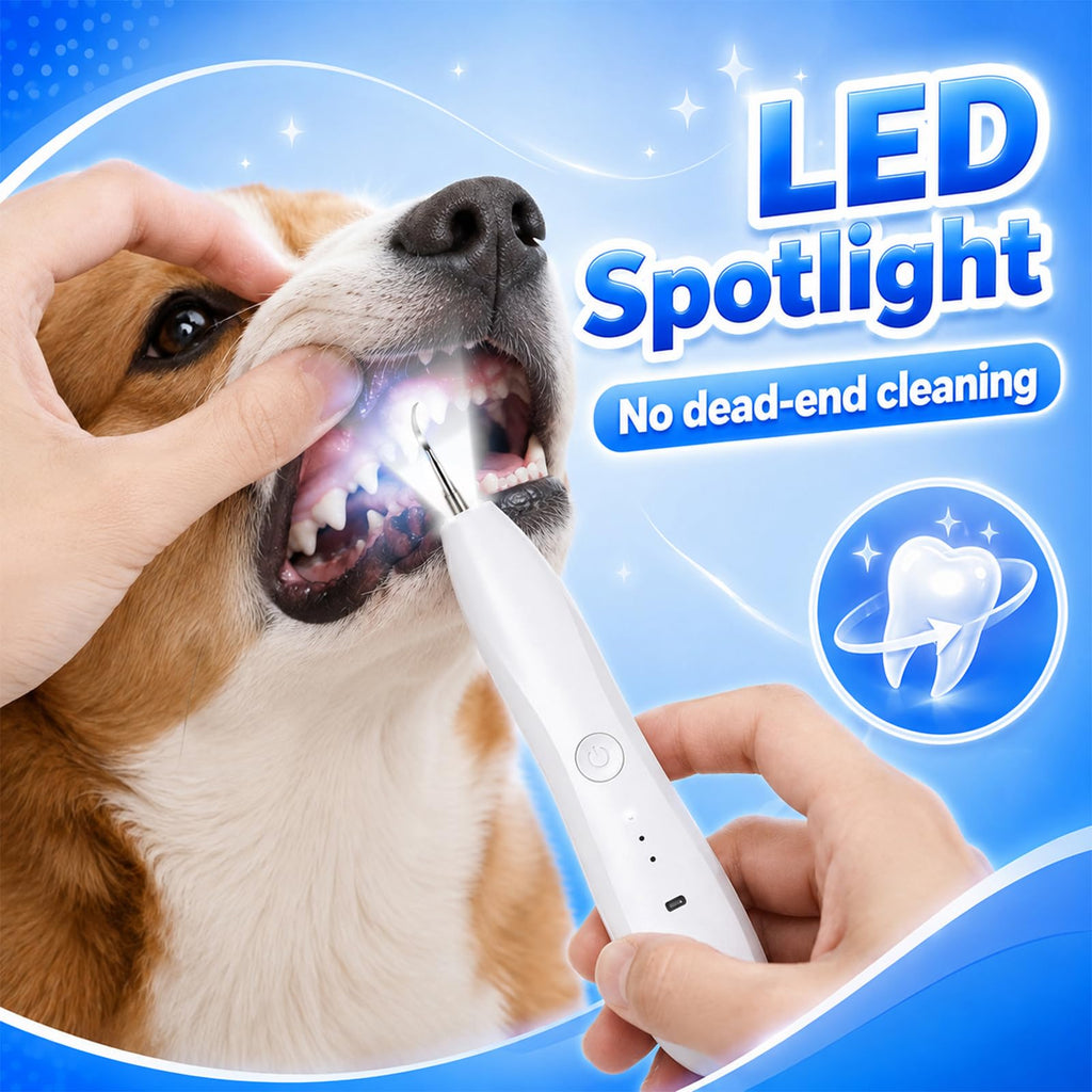 Dog Tartar Ultrasonic Teeth Cleaning Kit Q83135