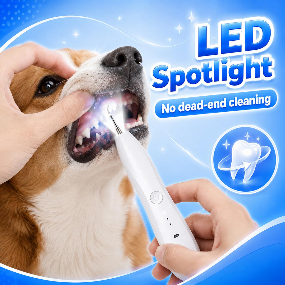 Dog Tartar Ultrasonic Teeth Cleaning Kit Q83135