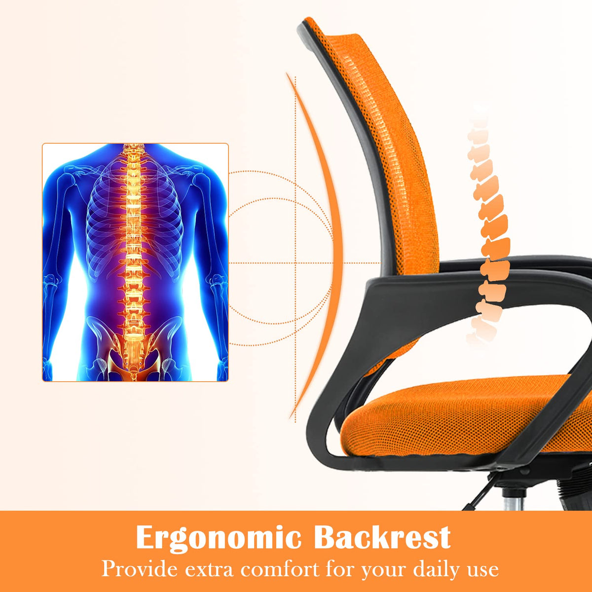 Adjustable Mesh Office Chair with Lumbar Support Y5131