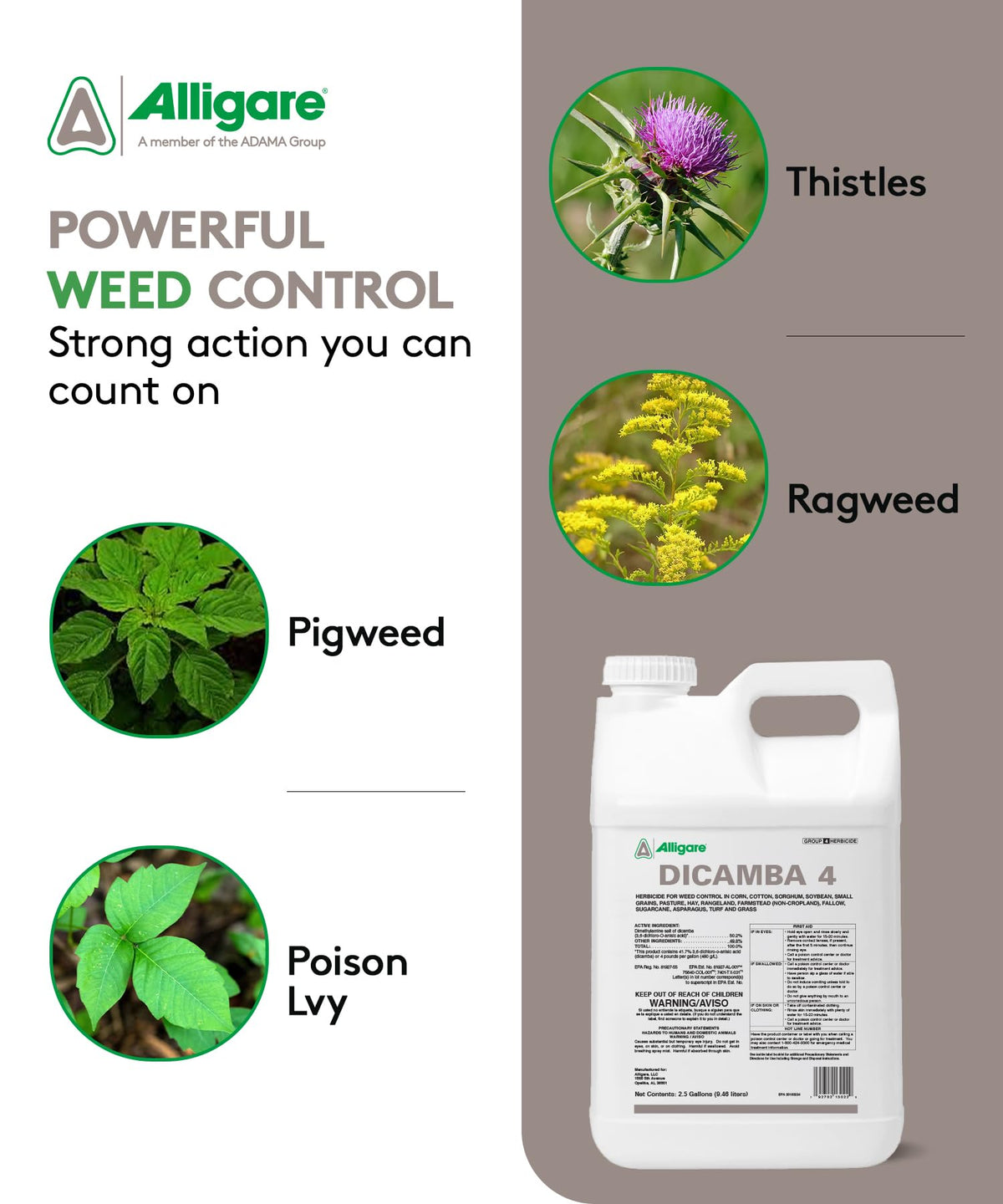 Water-Soluble Dicamba Herbicide 2.5 Gallons R81875