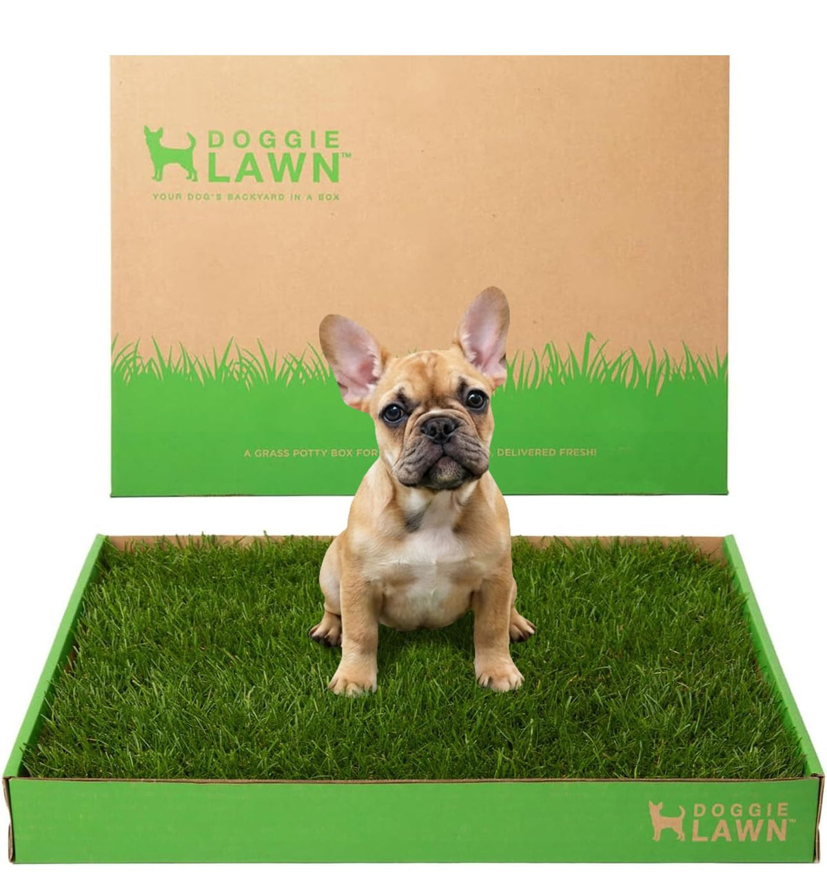 Real Grass Puppy Pads Medium 24x20 U619