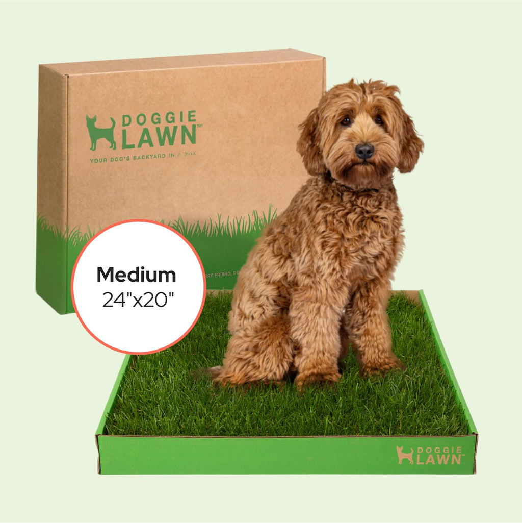 Real Grass Puppy Pads Medium 24x20 U619