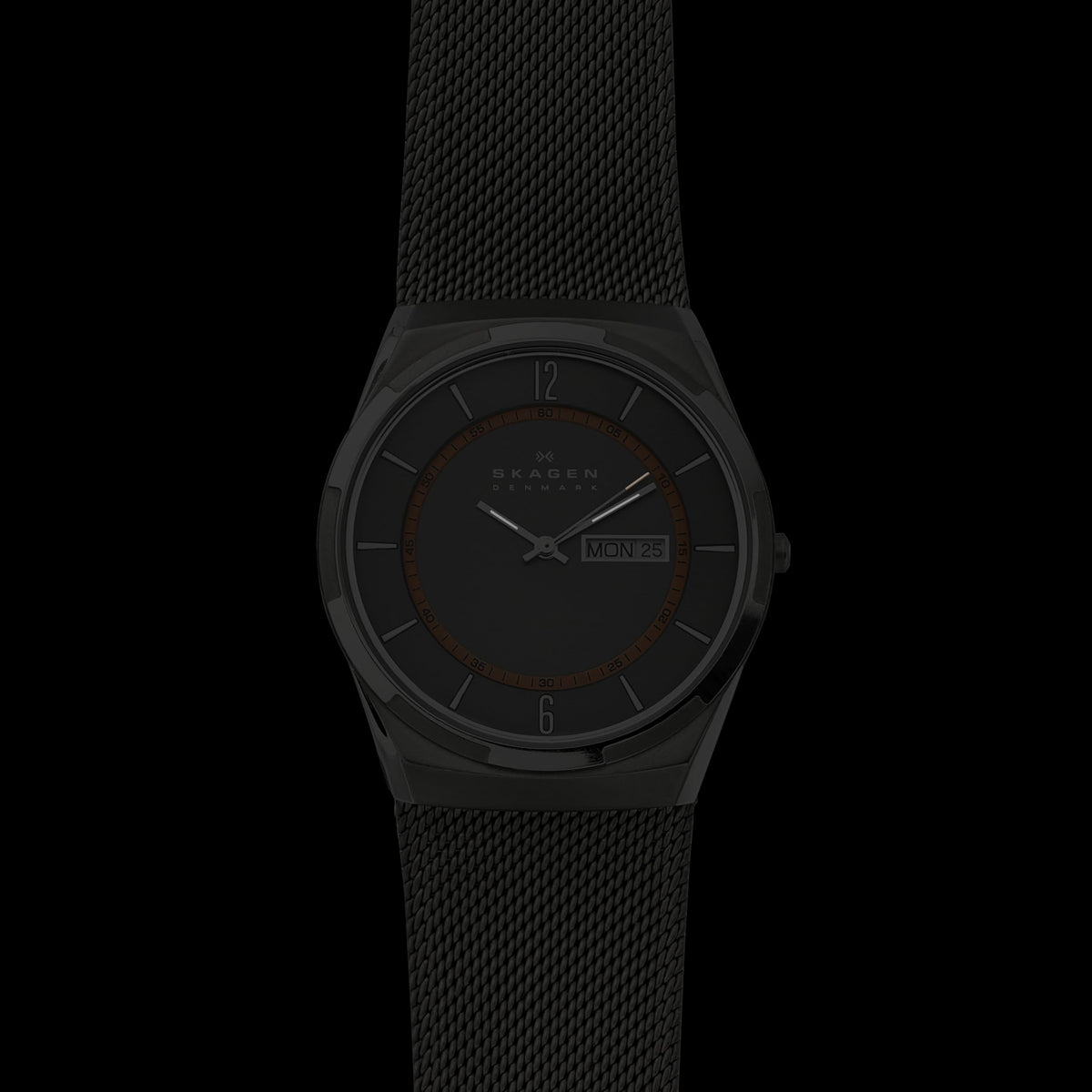 Stainless Steel Watch N927