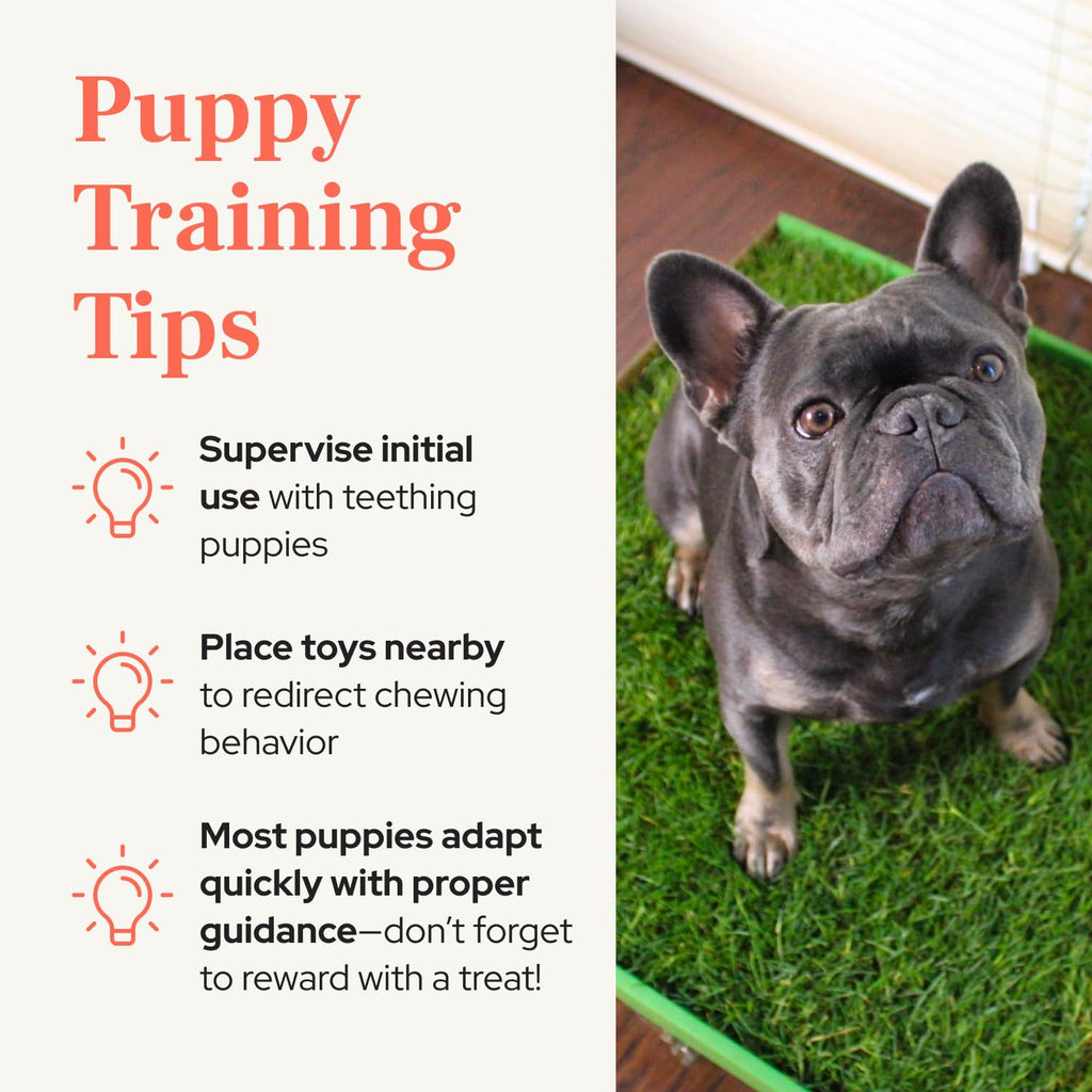 Real Grass Puppy Pads Medium 24x20 U619