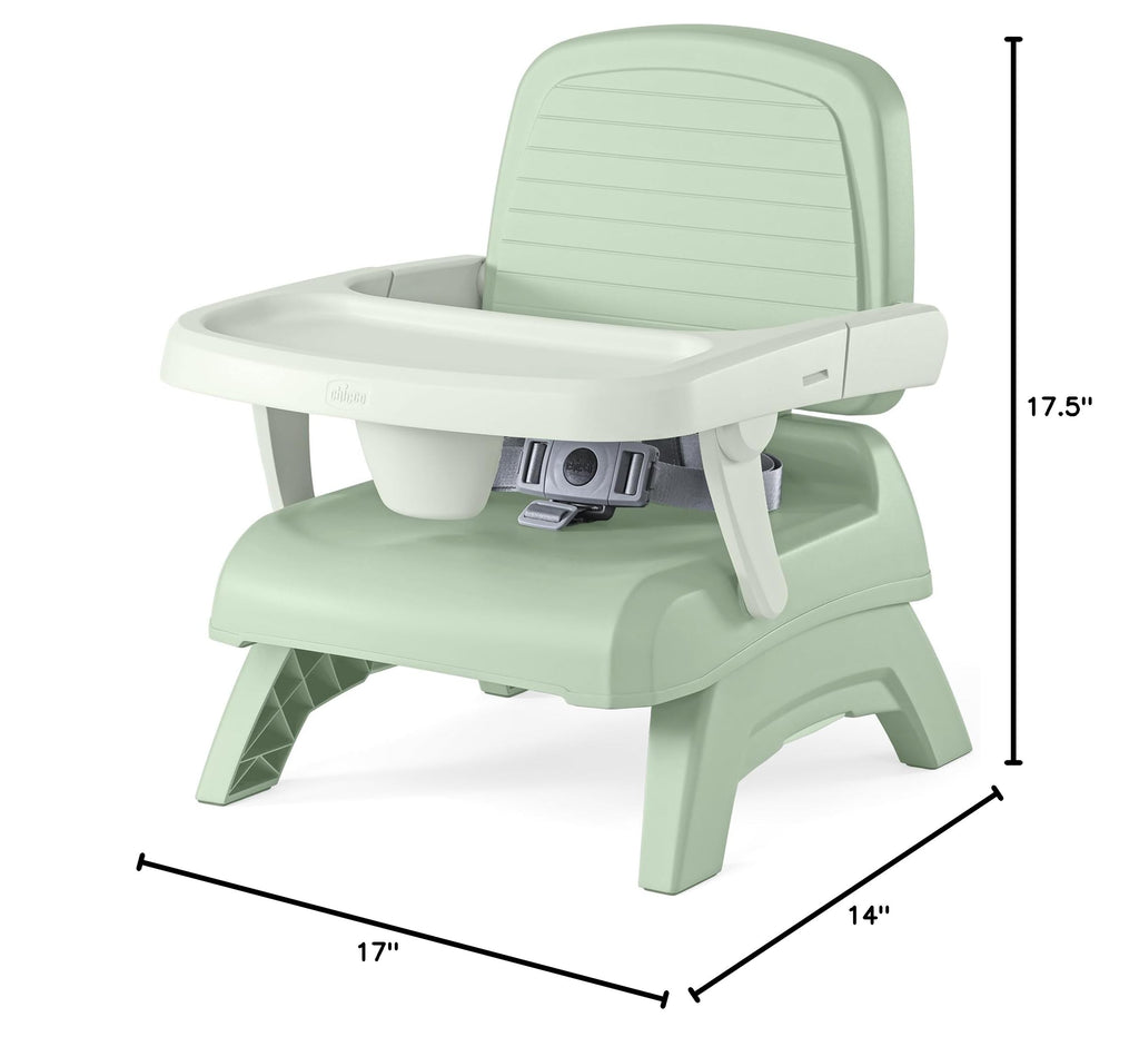 3-in-1 Portable Booster Seat W520