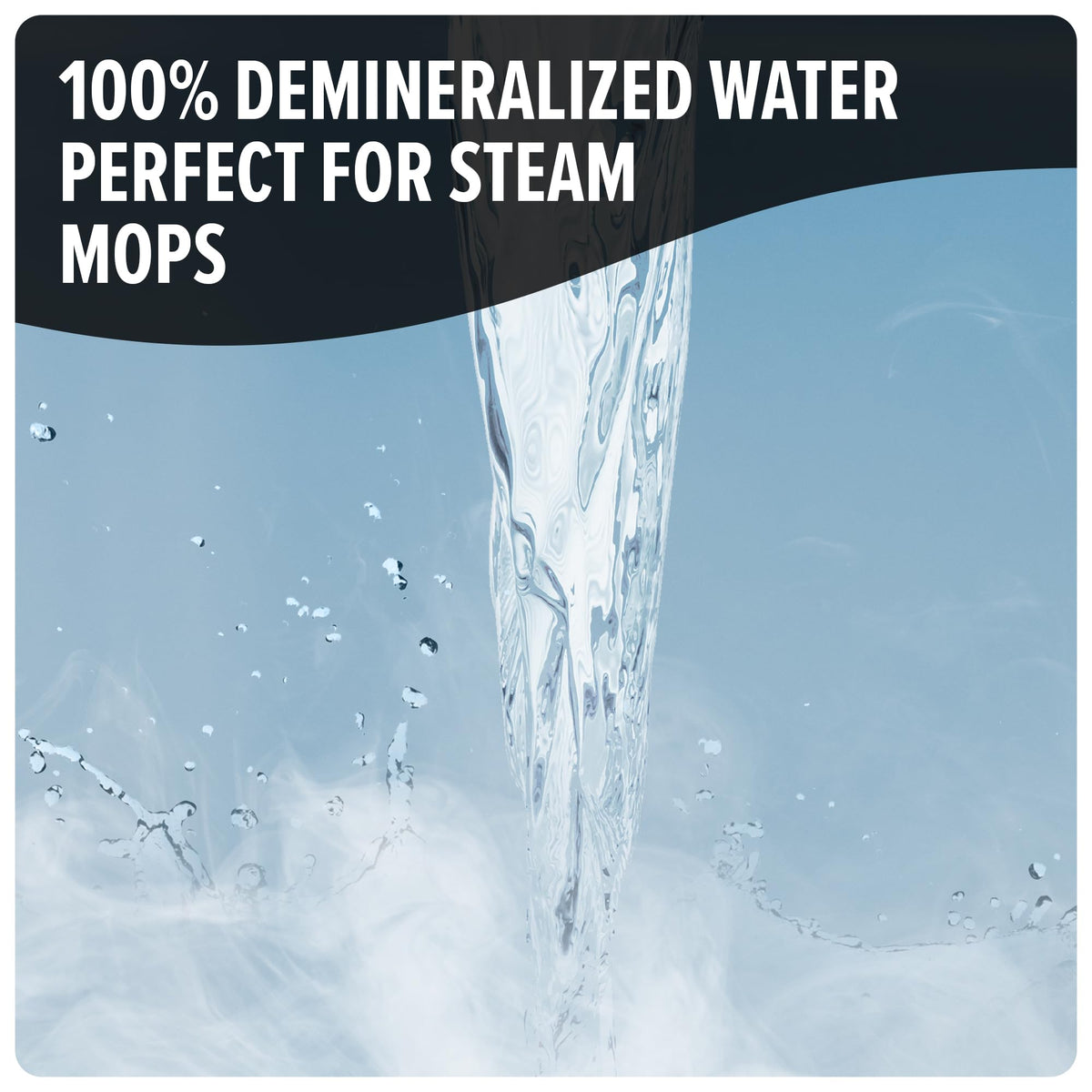 Steam Hard Floor Cleaner 32 Oz R304807