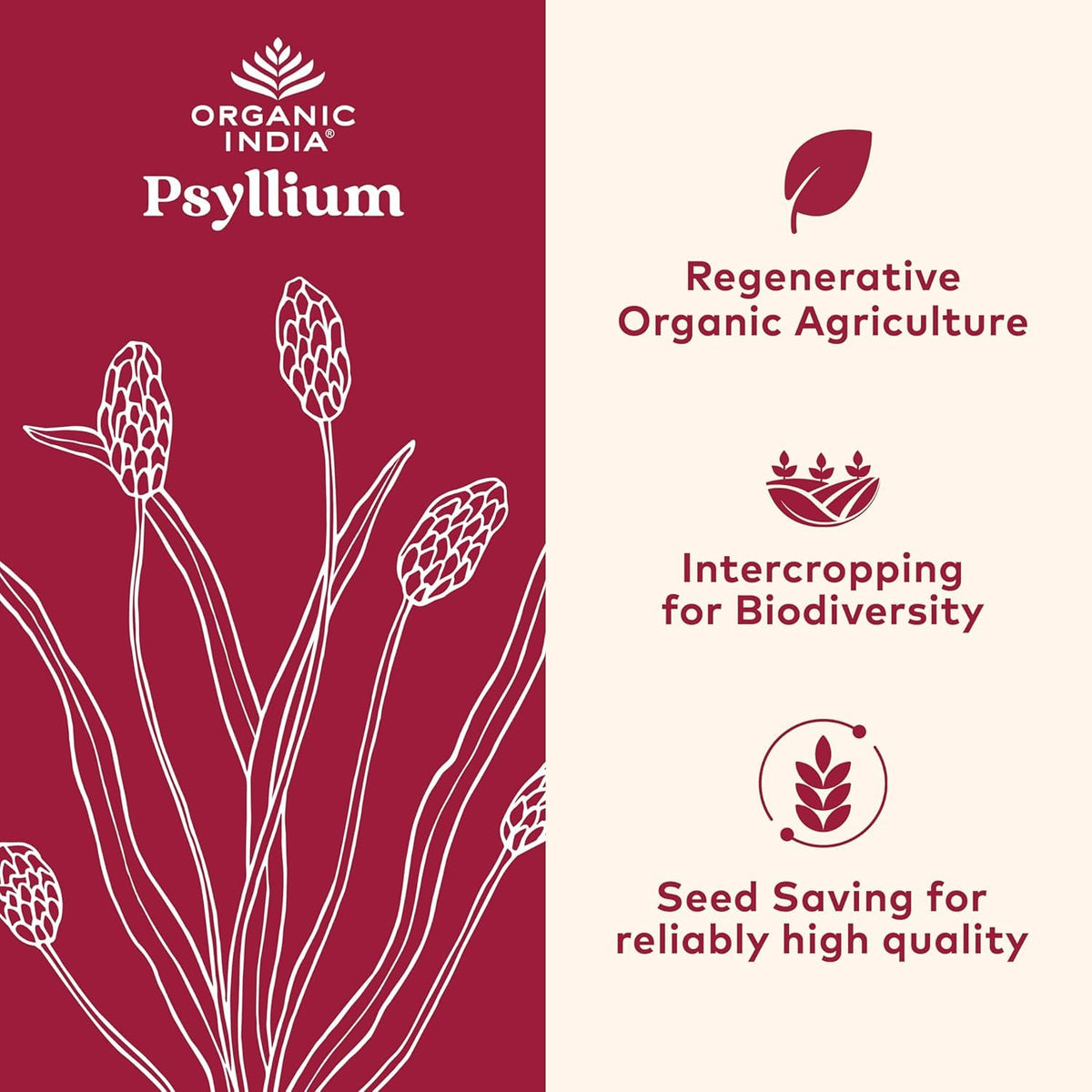 Whole Psyllium Husk Powder Organic Vegan 12 oz F97622