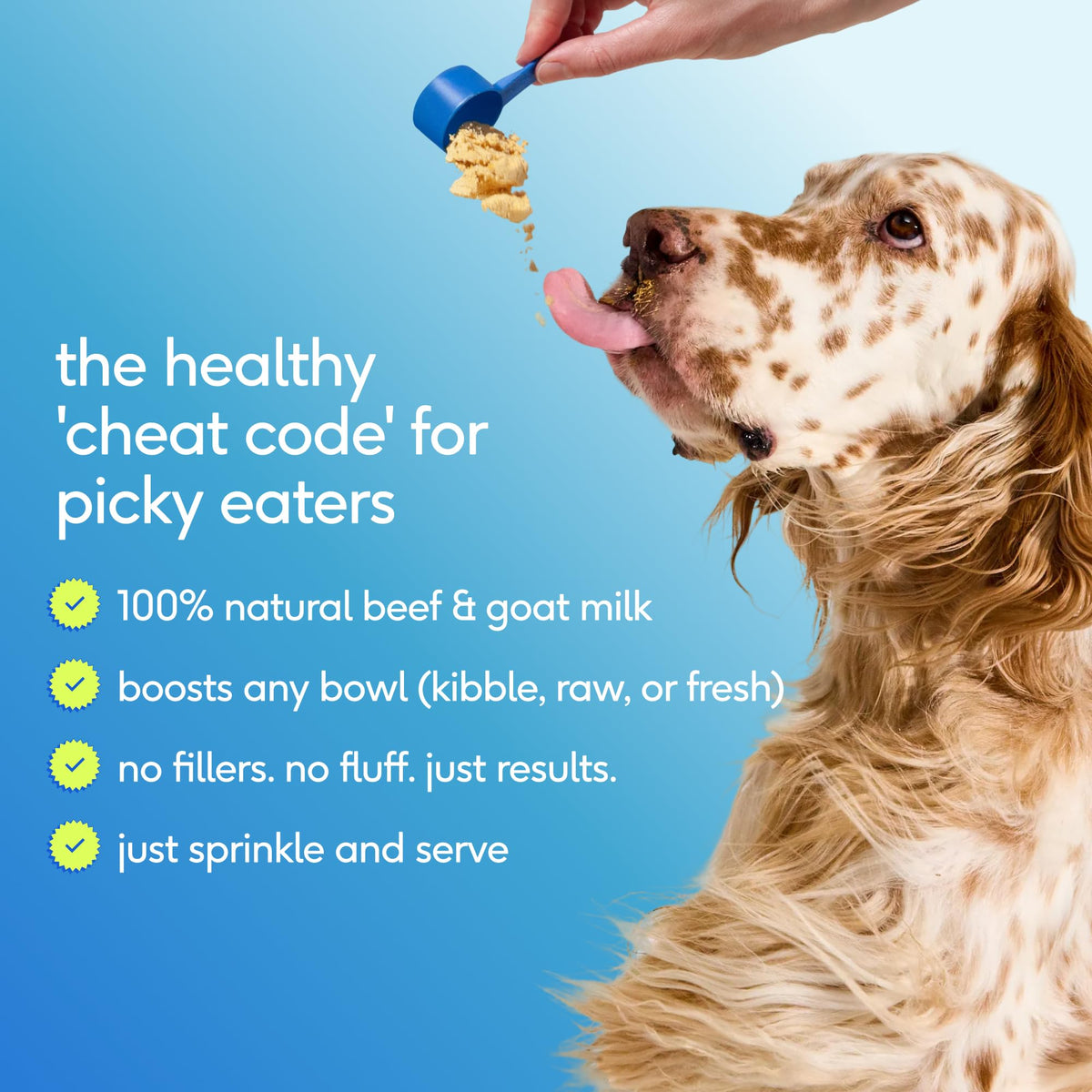 Dog Multivitamin Powder with Probiotics O969