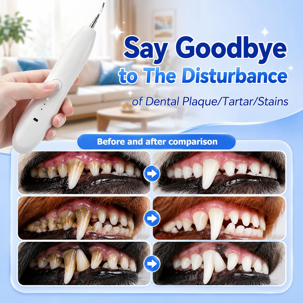 Dog Tartar Ultrasonic Teeth Cleaning Kit Q83135