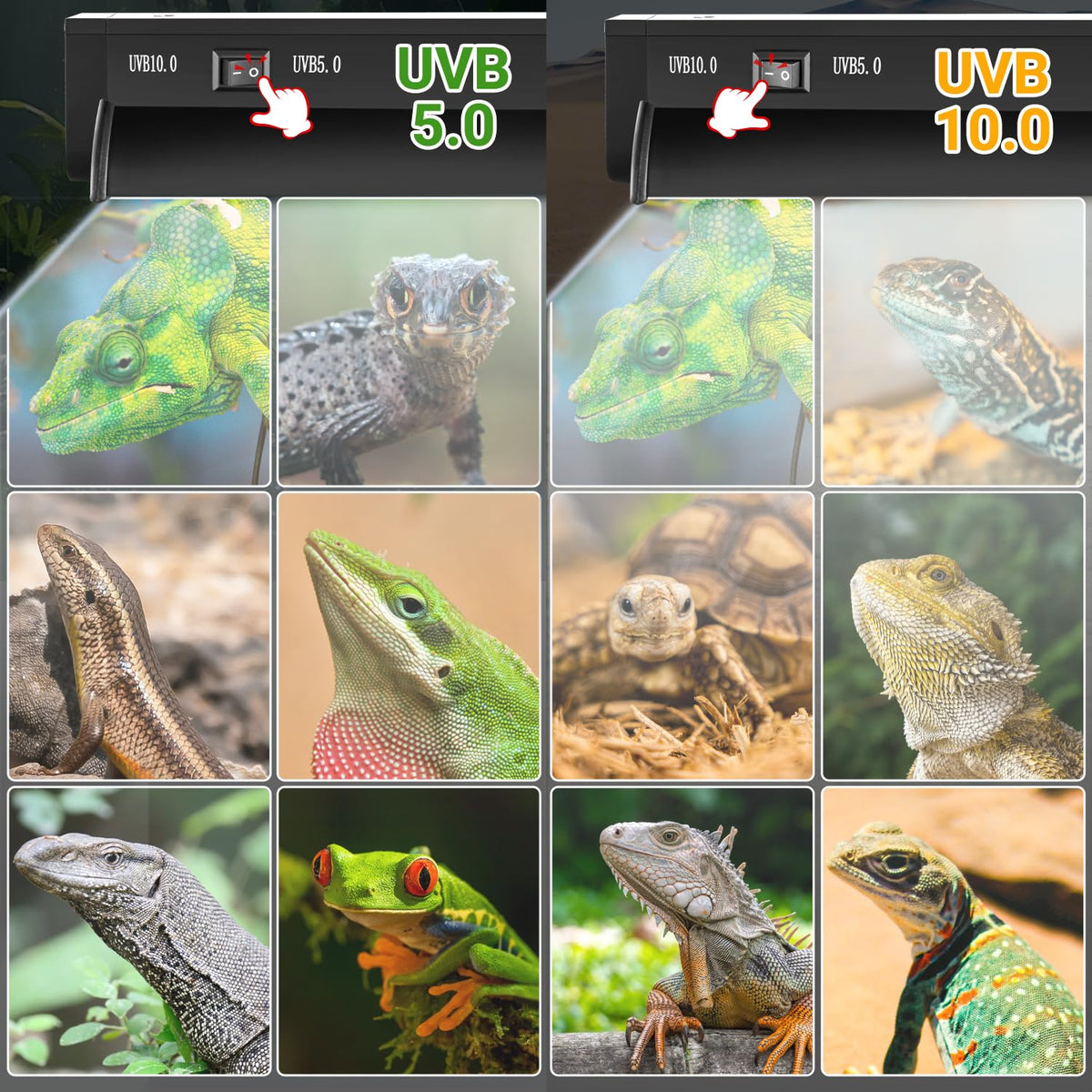 24W T5 UVB Reptile Light Combo Kit R991911