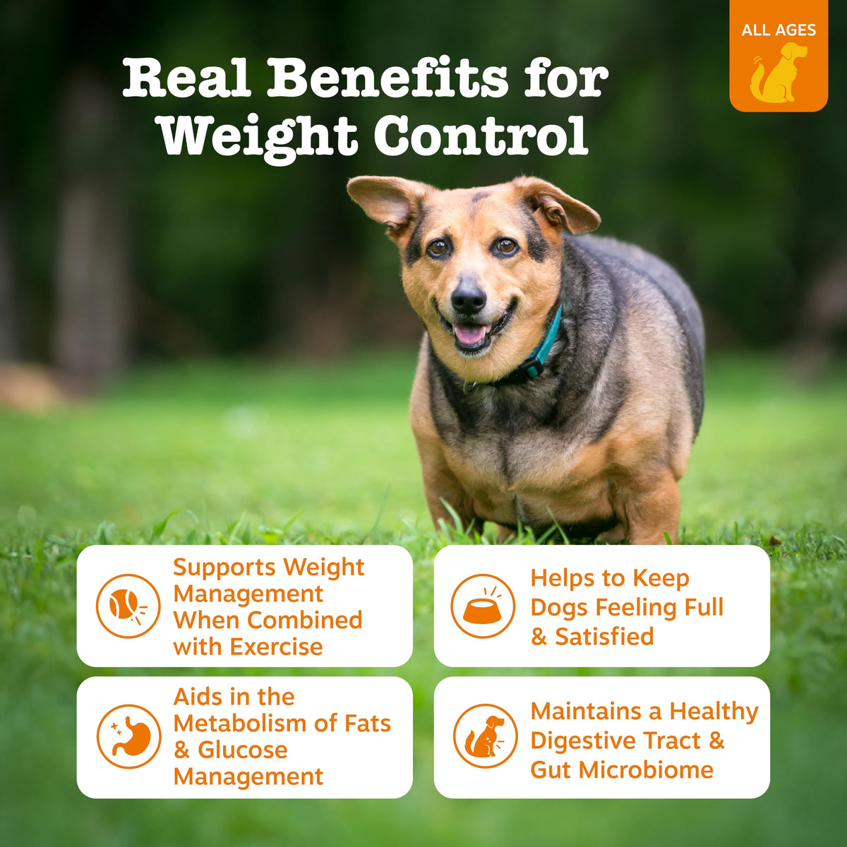 90 Count Dog Weight Management Supplement X183