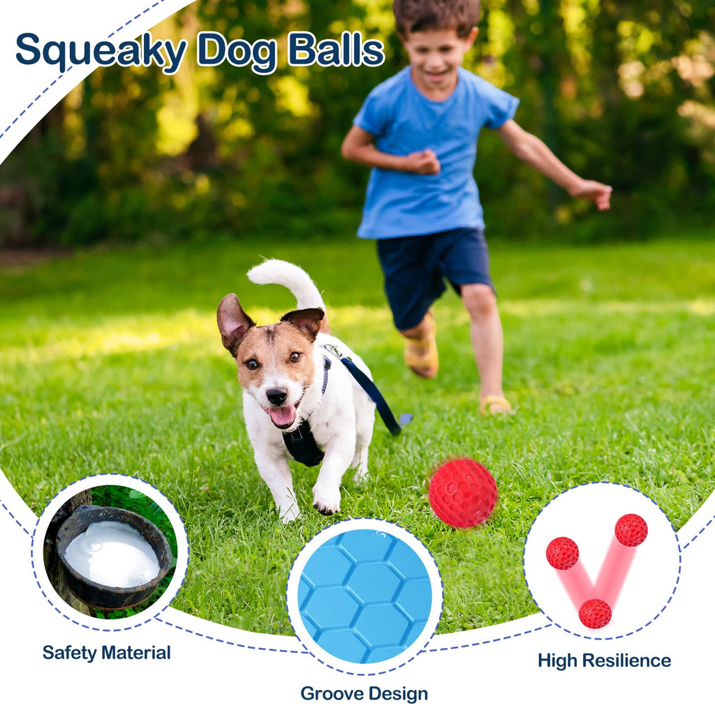 2 Pack Rubber Dog Chew Balls P949