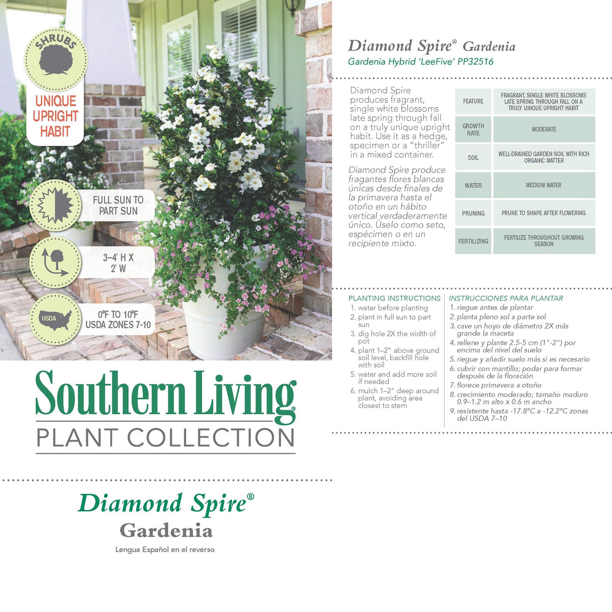 2 Gallon Gardenia Shrub X41096