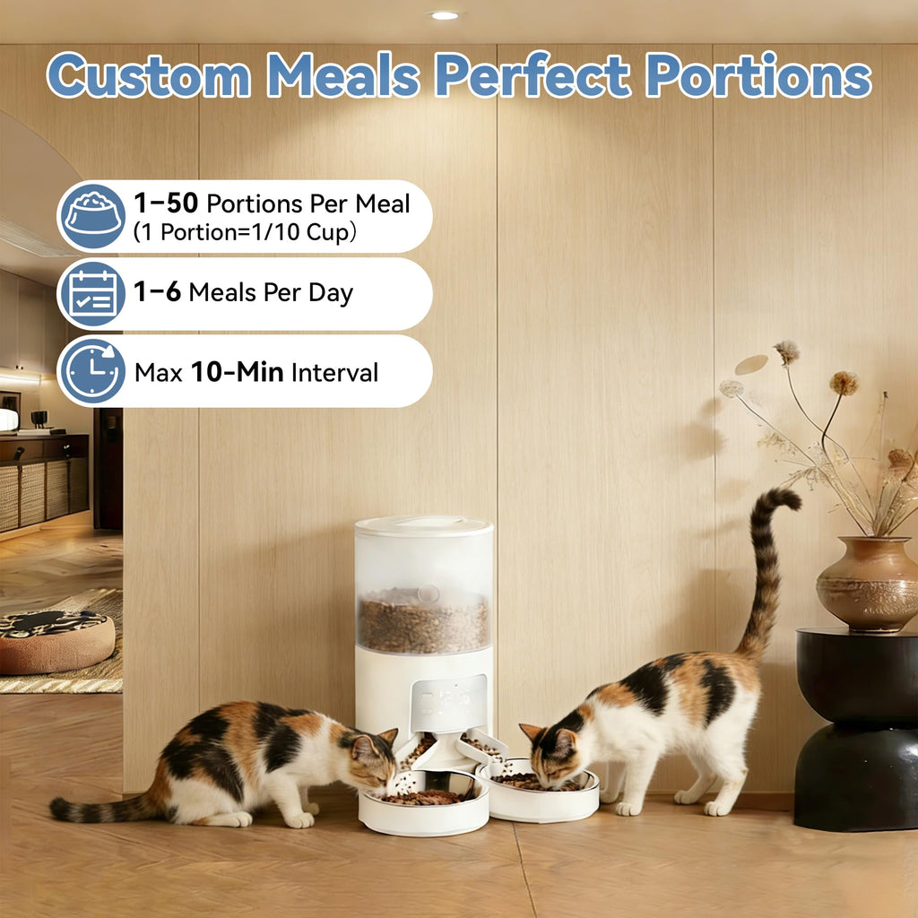 6L Automatic Cat Feeder K442028