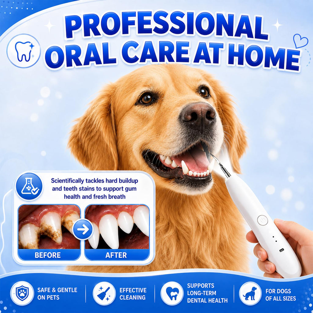Dog Tartar Ultrasonic Teeth Cleaning Kit Q83135