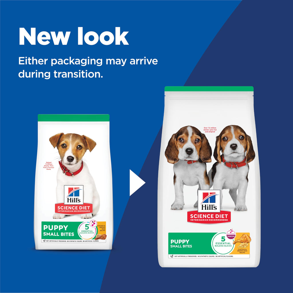 Dry Dog Food C955231