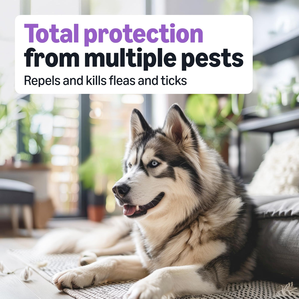 Flea and Tick Topical Treatment for Large Dogs 3 Count F971