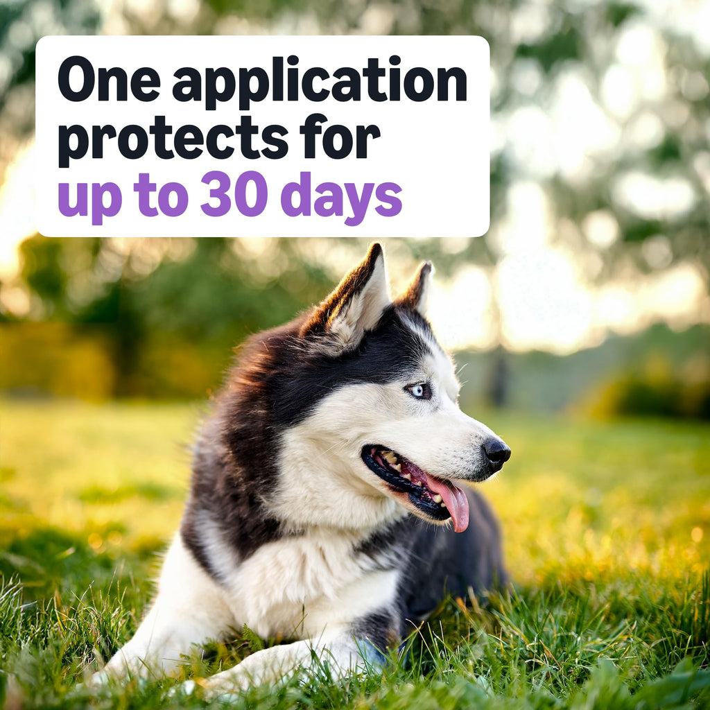 Flea and Tick Topical Treatment for Large Dogs 3 Count F971