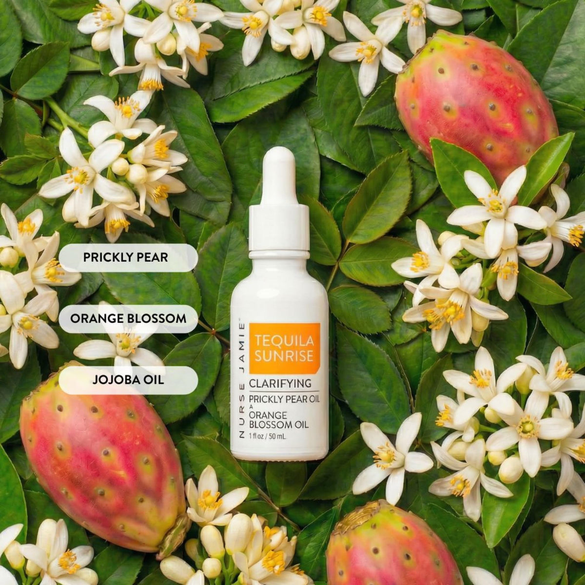 Beauty Oil Collection B50978