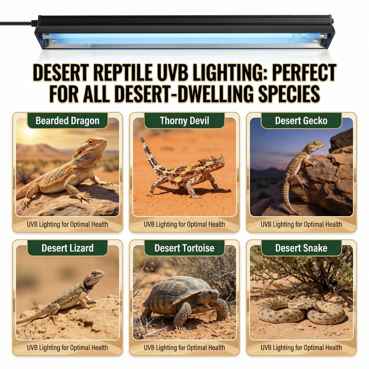 8W 10.0 12 Inch T5 UVB Reptile Light Fixture with Bulb B943407