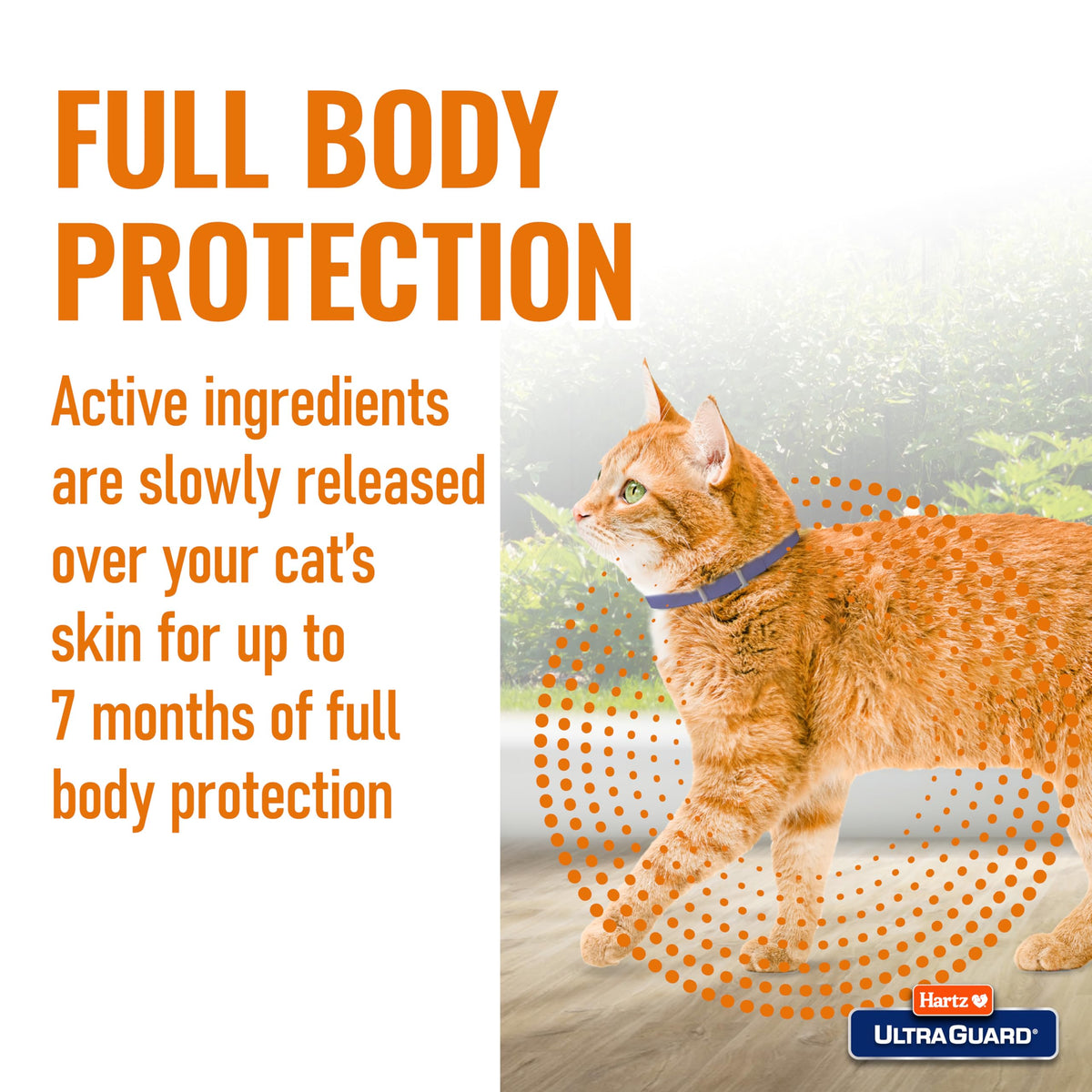 Flea & Tick Collar for Cats and Kittens Z613
