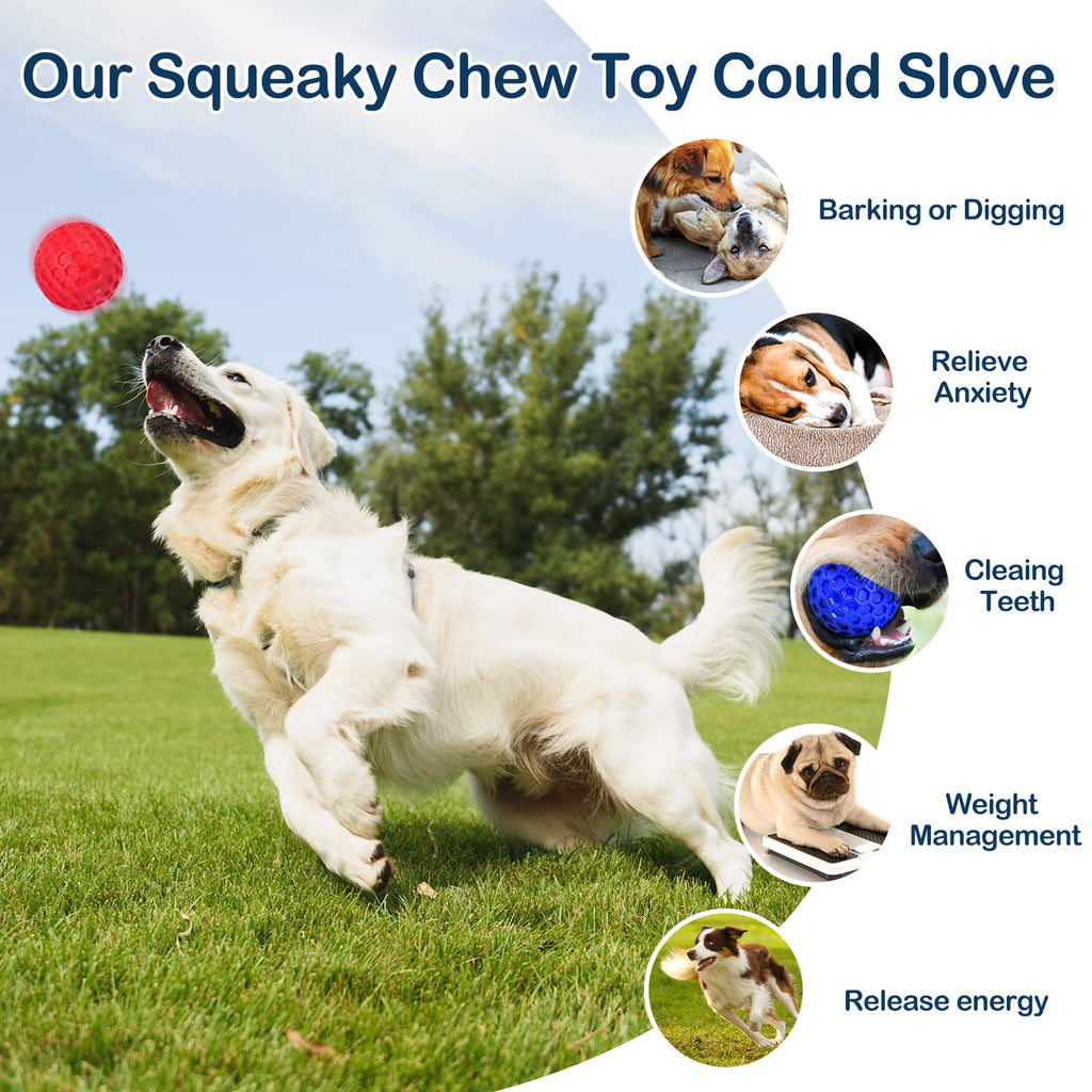 2 Pack Rubber Dog Chew Balls P949