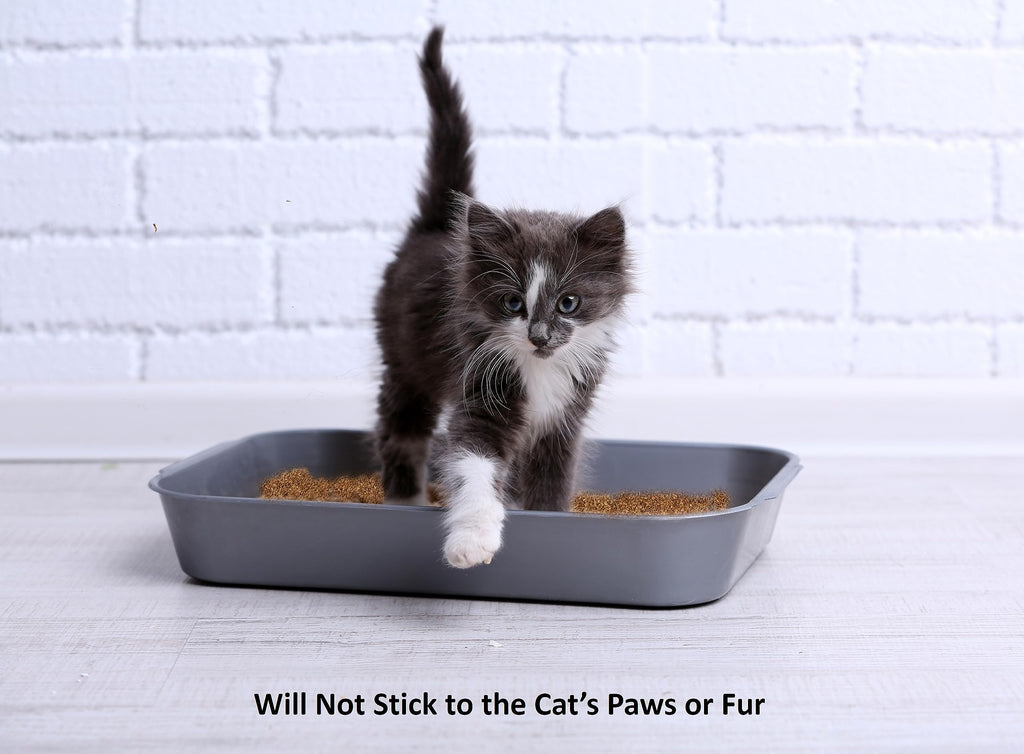 2.2 Lb Activated Charcoal Cat Litter Deodorizer B667812