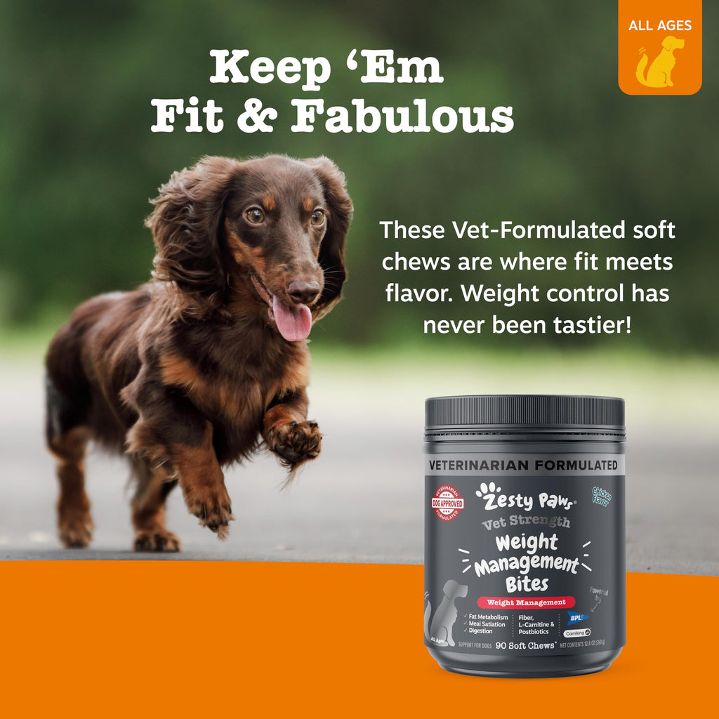 90 Count Dog Weight Management Supplement X183