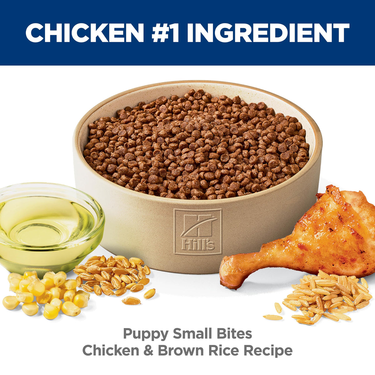 Dry Dog Food C955231