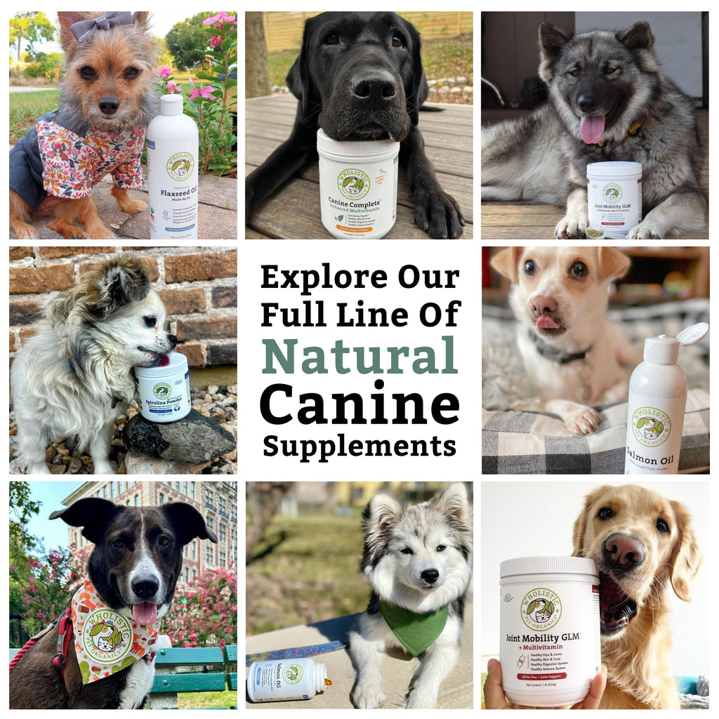Organic Dog Vitamins, 1 Lb, 45 Scoops S778