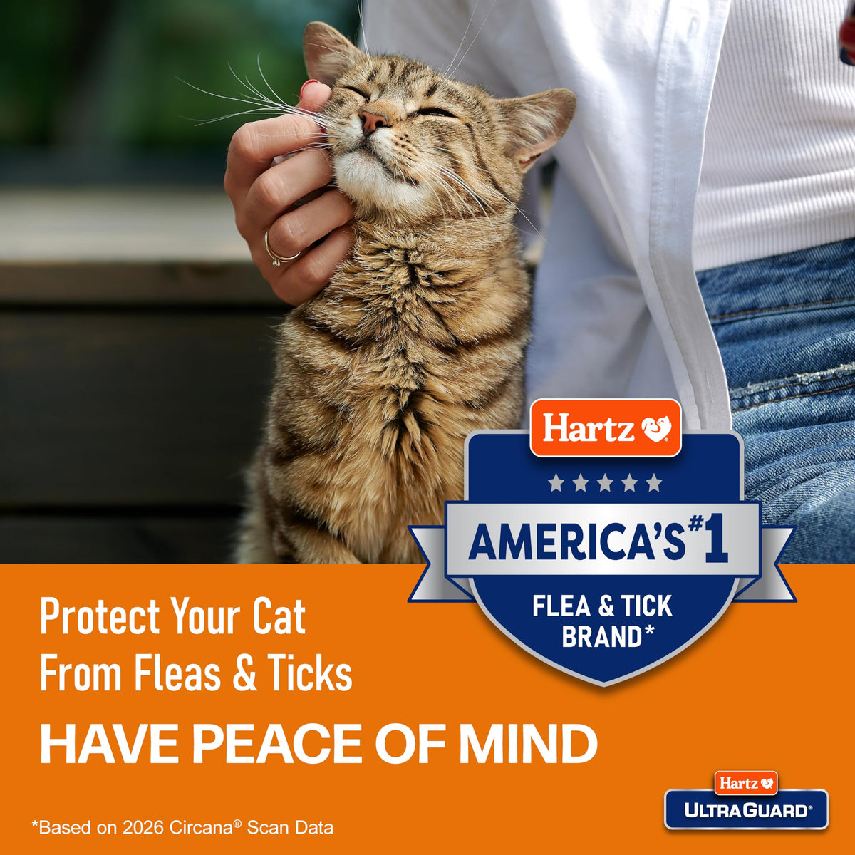 Flea & Tick Collar for Cats and Kittens Z613